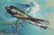 Збірна модель 1/32 японський винищувач Ki-43-II Hayabusa (Oscar) Hasegawa 08053 HS08053 фото 1