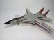 Збірна модель 1/72 американський винищувач F-14A Tomcat (Atlantic FS) Hasegawa HS00544 HS00544 фото 3