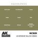 Акрилова фарба Жовто-Зелений Інтер'єру США (US Interior Yellow Green) AK-Interactive RC929 RC929 фото 3