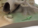 Хасмозавр 1/35 Chasmosaurus Diorama Set Series №1 Tamiya 60101 , збірна модель Тамія TAM60101 фото 3