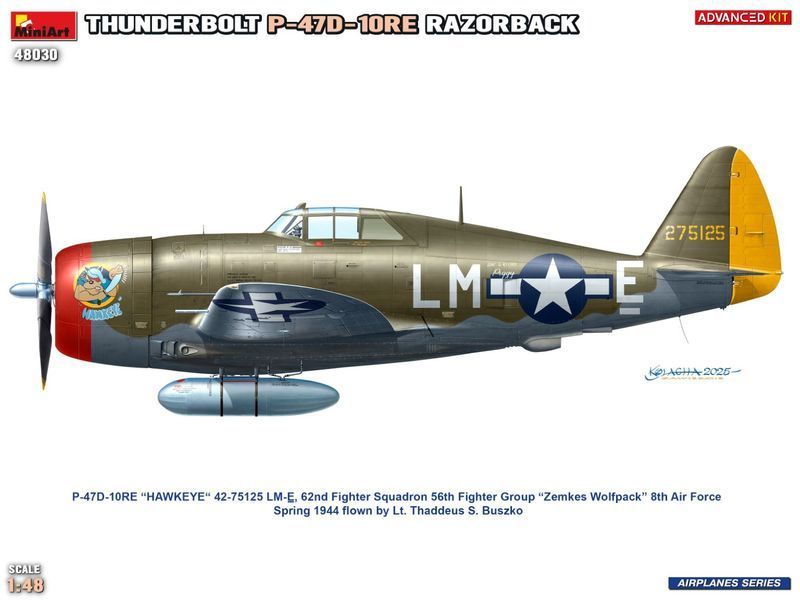 Американский истребитель 1/48 P-47D-10RE Thunderbolt Расширенный комплект MiniArt 48030 , сборная модель MA48030 фото