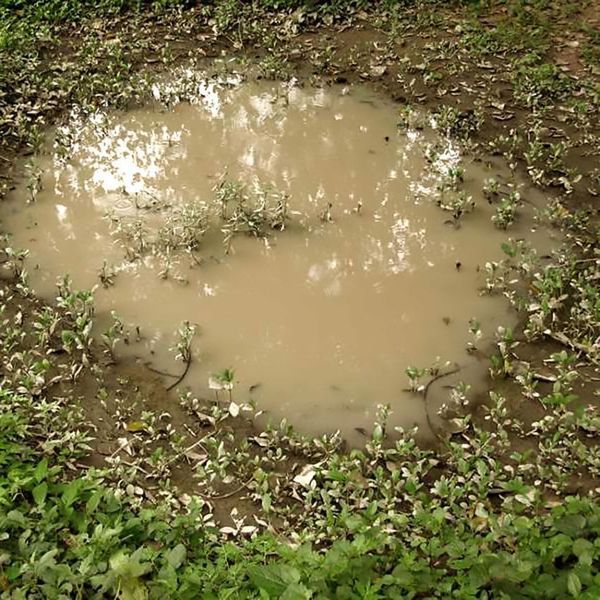 Текстура Diorama Series Имитация воды - Лужи (Puddles) AK-Interactive AK8028 AK8028 фото
