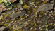 Цветки - Белая лилия GamersGrass Flowers and Shrubs White Lily Tiny Flowers GGFS-WL GGFS-WL фото 2