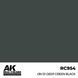 Акрилова фарба IJN D1 Темно Зелений (IJN D1 Deep Green Black) AK-Interactive RC954 RC954 фото 2