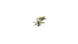 Лазерная резка - Хоста GamersGrass Laser Plants Plantain Lily GGLP-PL GGLP-PL фото 2