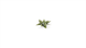 Лазерная резка - Хоста GamersGrass Laser Plants Plantain Lily GGLP-PL GGLP-PL фото 3
