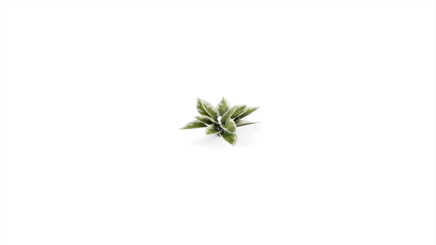 Лазерная резка - Хоста GamersGrass Laser Plants Plantain Lily GGLP-PL GGLP-PL фото